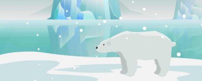 ​北极熊为什么不怕冷