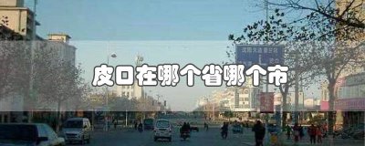 ​皮口是什么地方 皮口是县吗