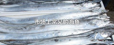 ​海鱼有哪些名称 海鱼有几种鱼:名称?